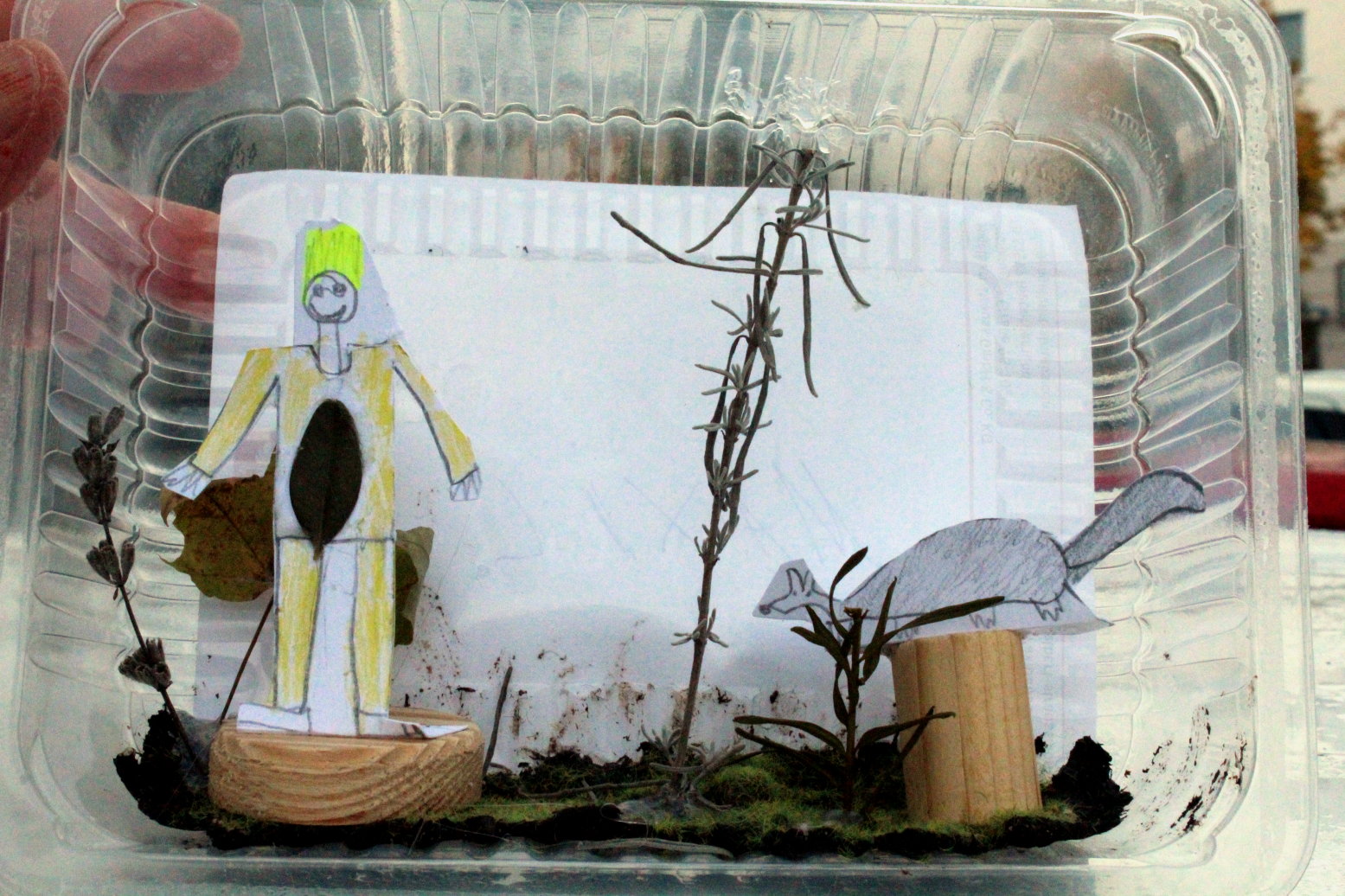 Bild