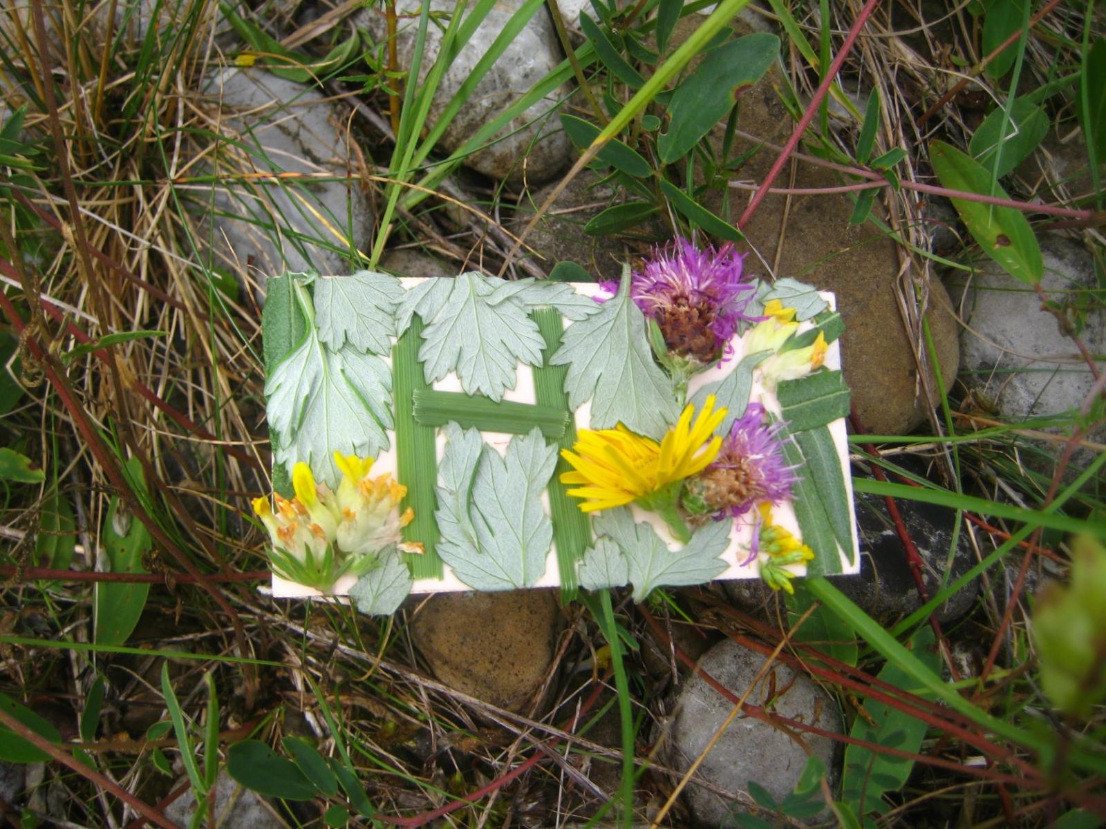 Wiesen-Visitenkarte