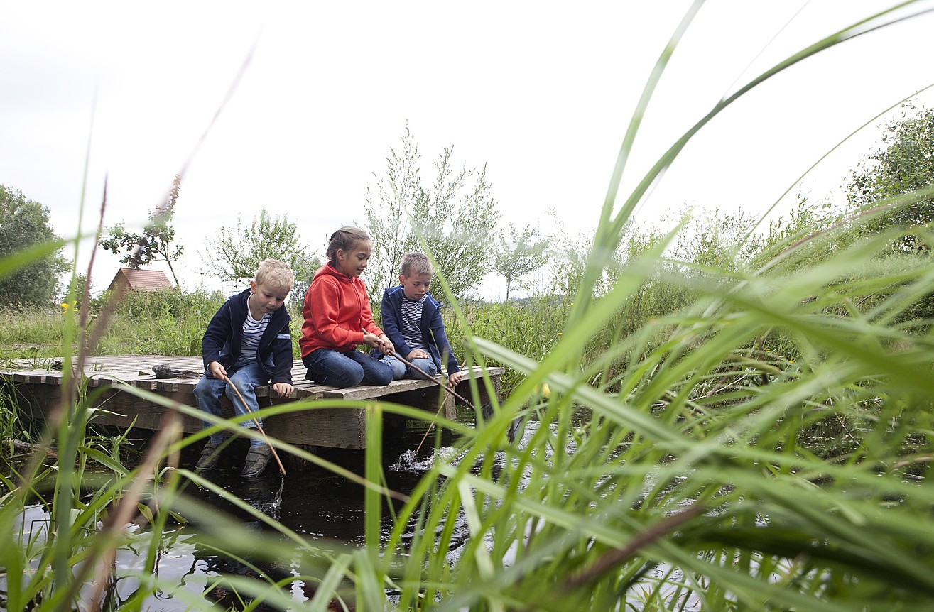Kinder beim Keschern