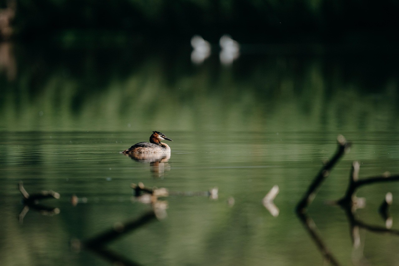 Am Wasser